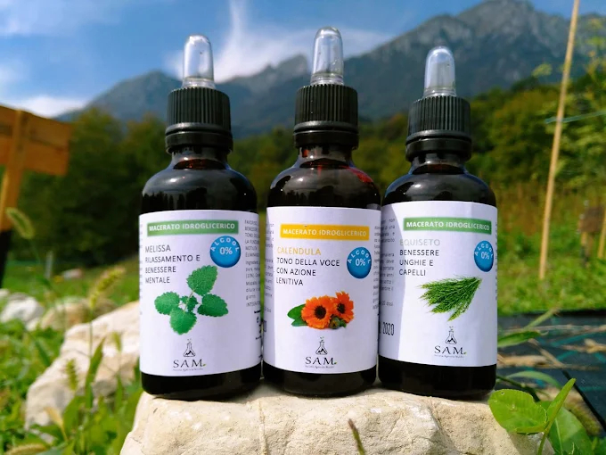 Fitoterapia a Sospirolo
